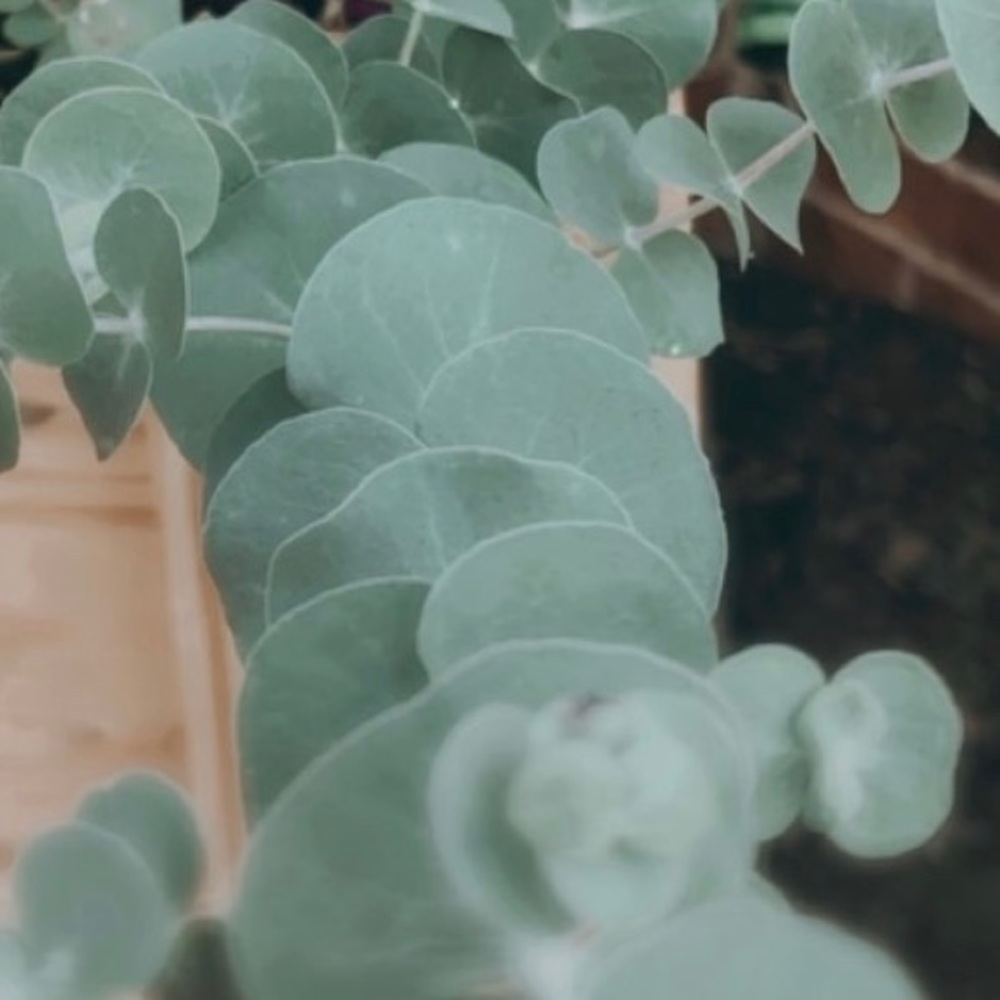 All offers welcome ♥️